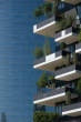 20130611_104135 Bosco Verticale.jpg